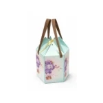 Hexa paper Bag