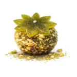 Kacha Aam Ball